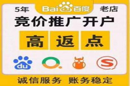 百度SEO推广策略调整：一个成功的调整案例